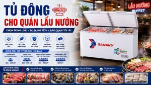 Tủ Đông Cho Quán Lẩu Nướng Nên Chọn Loại Nào