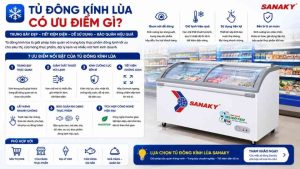 Tủ Đông Kính Lùa Có Ưu Điểm Gì Vì Sao Được Nhiều Cửa Hàng Lựa Chọn
