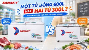 Một Tủ Đông 600L Hay Hai Tủ 300L Tốt Hơn