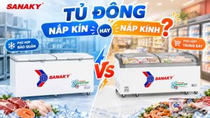 Tủ Đông Nắp Kín Hay Nắp Kính Nên Chọn Loại Nào